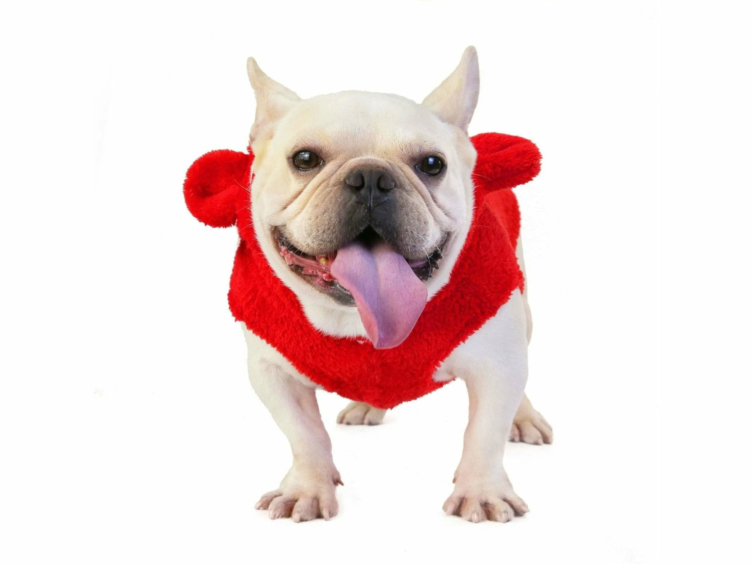 dog clothes Red S KLN-1726